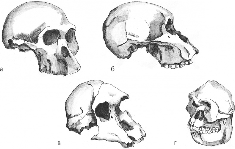 Иллюстрация к книге — Достающее звено. Книга 2. Люди [i_010.jpg]