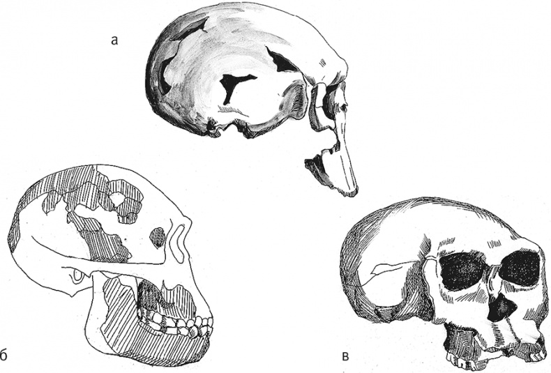 Иллюстрация к книге — Достающее звено. Книга 2. Люди [i_013.jpg]
