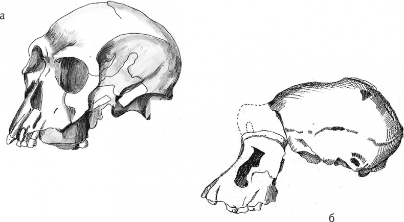Иллюстрация к книге — Достающее звено. Книга 2. Люди [i_015.jpg]