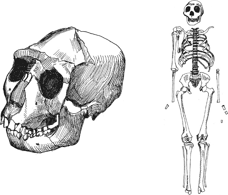 Иллюстрация к книге — Достающее звено. Книга 2. Люди [i_019.jpg]