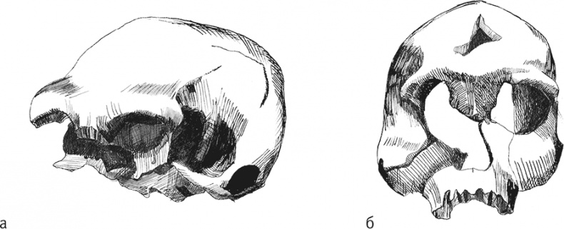 Иллюстрация к книге — Достающее звено. Книга 2. Люди [i_020.jpg]