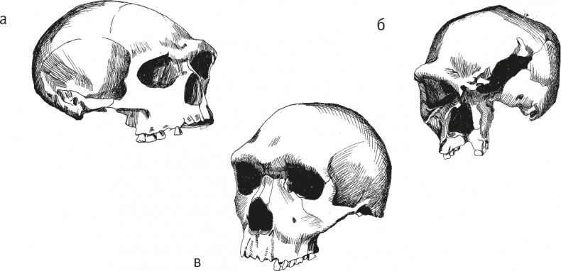 Иллюстрация к книге — Достающее звено. Книга 2. Люди [i_026.jpg]