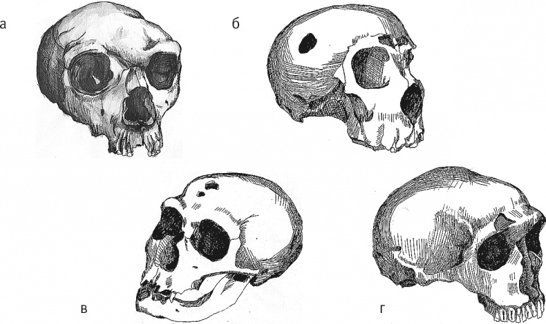 Иллюстрация к книге — Достающее звено. Книга 2. Люди [i_030.jpg]