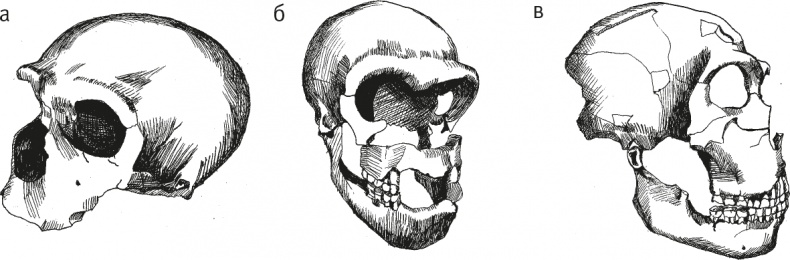 Иллюстрация к книге — Достающее звено. Книга 2. Люди [i_031.jpg]