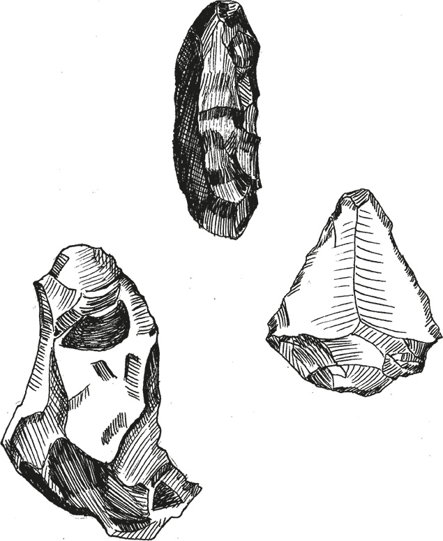 Иллюстрация к книге — Достающее звено. Книга 2. Люди [i_032.jpg]