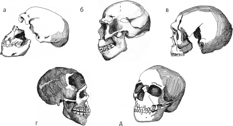 Иллюстрация к книге — Достающее звено. Книга 2. Люди [i_035.jpg]