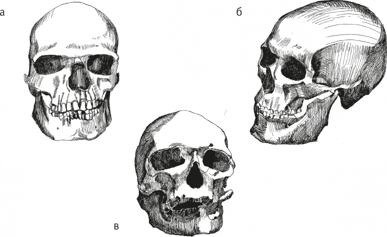 Иллюстрация к книге — Достающее звено. Книга 2. Люди [i_037.jpg]