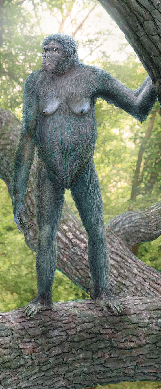 Иллюстрация к книге — Достающее звено. Книга 2. Люди [i_070.jpg]