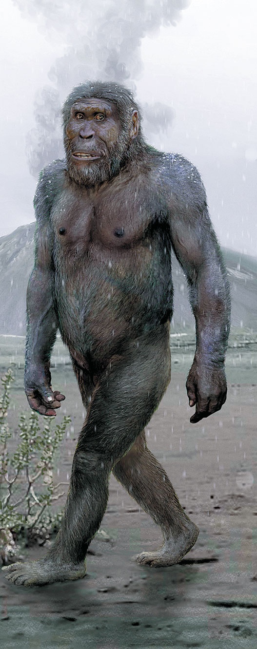 Иллюстрация к книге — Достающее звено. Книга 2. Люди [i_071.jpg]