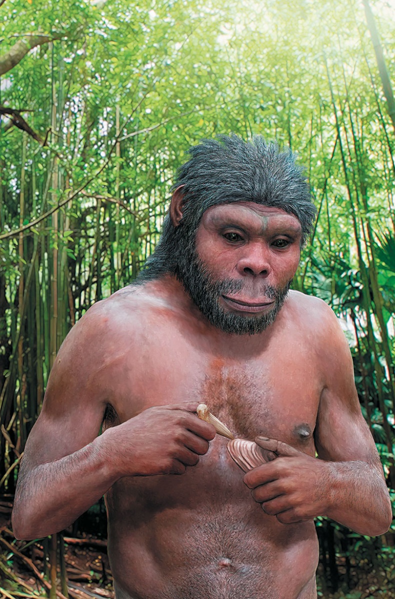 Иллюстрация к книге — Достающее звено. Книга 2. Люди [i_074.jpg]