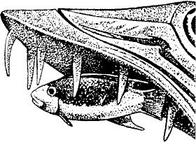 Иллюстрация к книге — Непослушное дитя биосферы. Беседы о поведении человека в компании птиц, зверей и детей [c01p12.jpg]