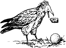 Иллюстрация к книге — Непослушное дитя биосферы. Беседы о поведении человека в компании птиц, зверей и детей [c02p17.jpg]