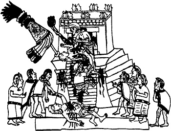 Иллюстрация к книге — Непослушное дитя биосферы. Беседы о поведении человека в компании птиц, зверей и детей [c02p29.jpg]