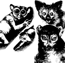 Иллюстрация к книге — Непослушное дитя биосферы. Беседы о поведении человека в компании птиц, зверей и детей [c03p02.jpg]