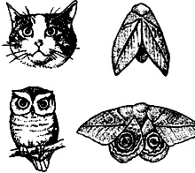 Иллюстрация к книге — Непослушное дитя биосферы. Беседы о поведении человека в компании птиц, зверей и детей [c03p16.jpg]