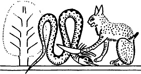 Иллюстрация к книге — Непослушное дитя биосферы. Беседы о поведении человека в компании птиц, зверей и детей [c03p27.jpg]