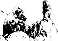 Иллюстрация к книге — Непослушное дитя биосферы. Беседы о поведении человека в компании птиц, зверей и детей [c03p32.jpg]