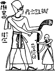 Иллюстрация к книге — Непослушное дитя биосферы. Беседы о поведении человека в компании птиц, зверей и детей [c03p34.jpg]