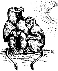 Иллюстрация к книге — Непослушное дитя биосферы. Беседы о поведении человека в компании птиц, зверей и детей [c04p03.jpg]