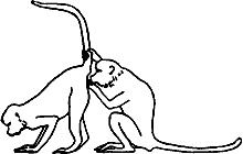 Иллюстрация к книге — Непослушное дитя биосферы. Беседы о поведении человека в компании птиц, зверей и детей [c05p03.jpg]