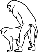 Иллюстрация к книге — Непослушное дитя биосферы. Беседы о поведении человека в компании птиц, зверей и детей [c06p12.jpg]