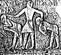 Иллюстрация к книге — Непослушное дитя биосферы. Беседы о поведении человека в компании птиц, зверей и детей [c06p15.jpg]