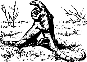 Иллюстрация к книге — Непослушное дитя биосферы. Беседы о поведении человека в компании птиц, зверей и детей [c07p08.jpg]