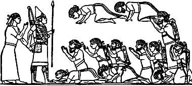 Иллюстрация к книге — Непослушное дитя биосферы. Беседы о поведении человека в компании птиц, зверей и детей [c07p14.jpg]