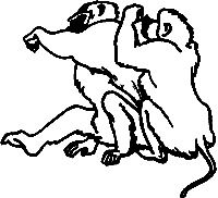 Иллюстрация к книге — Непослушное дитя биосферы. Беседы о поведении человека в компании птиц, зверей и детей [c07p17.jpg]