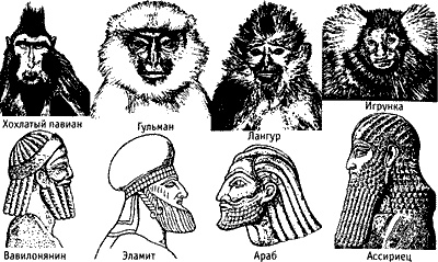 Иллюстрация к книге — Непослушное дитя биосферы. Беседы о поведении человека в компании птиц, зверей и детей [c07p27.jpg]