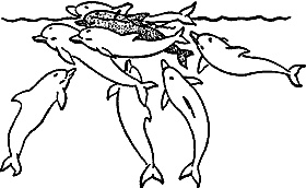 Иллюстрация к книге — Непослушное дитя биосферы. Беседы о поведении человека в компании птиц, зверей и детей [c07p32.jpg]