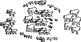 Иллюстрация к книге — Непослушное дитя биосферы. Беседы о поведении человека в компании птиц, зверей и детей [c07p38.jpg]