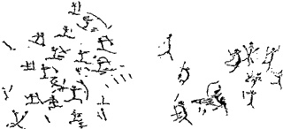 Иллюстрация к книге — Непослушное дитя биосферы. Беседы о поведении человека в компании птиц, зверей и детей [c07p39.jpg]