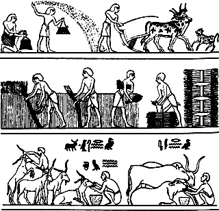 Иллюстрация к книге — Непослушное дитя биосферы. Беседы о поведении человека в компании птиц, зверей и детей [c07p51.jpg]