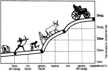 Иллюстрация к книге — Непослушное дитя биосферы. Беседы о поведении человека в компании птиц, зверей и детей [c08p03.jpg]