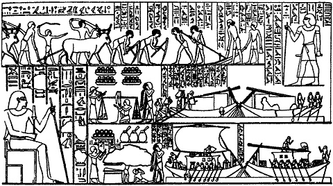 Иллюстрация к книге — Непослушное дитя биосферы. Беседы о поведении человека в компании птиц, зверей и детей [c08p04.jpg]