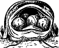 Иллюстрация к книге — Непослушное дитя биосферы. Беседы о поведении человека в компании птиц, зверей и детей [c08p06.jpg]