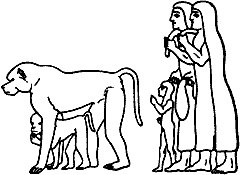 Иллюстрация к книге — Непослушное дитя биосферы. Беседы о поведении человека в компании птиц, зверей и детей [c09p04.jpg]