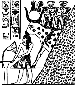 Иллюстрация к книге — Непослушное дитя биосферы. Беседы о поведении человека в компании птиц, зверей и детей [c09p05.jpg]