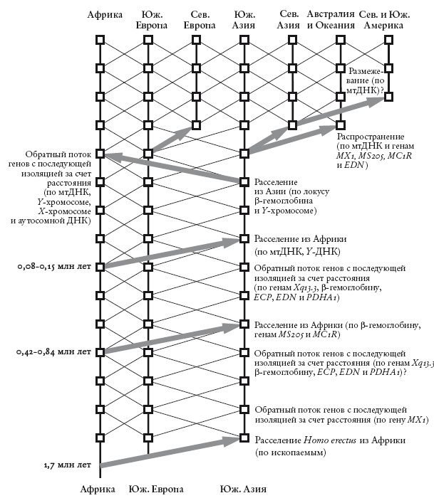 Иллюстрация к книге — Рассказ предка. Паломничество к истокам жизни [i_003.jpg]