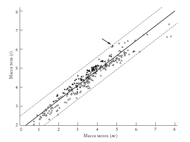 Иллюстрация к книге — Рассказ предка. Паломничество к истокам жизни [i_004.jpg]