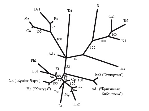 Иллюстрация к книге — Рассказ предка. Паломничество к истокам жизни [i_017.jpg]