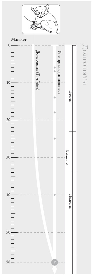 Иллюстрация к книге — Рассказ предка. Паломничество к истокам жизни [i_021.jpg]