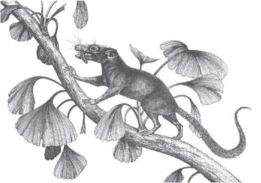 Иллюстрация к книге — Рассказ предка. Паломничество к истокам жизни [i_034.jpg]