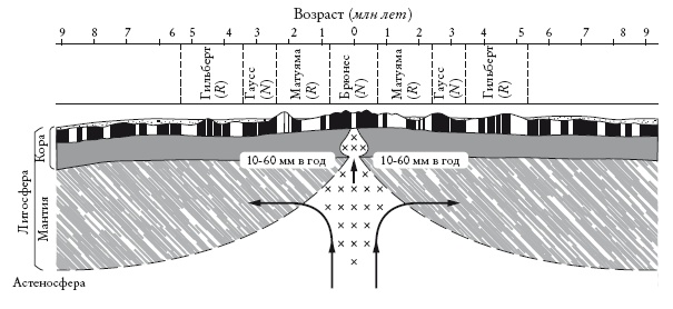 Иллюстрация к книге — Рассказ предка. Паломничество к истокам жизни [i_042.jpg]