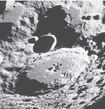 Иллюстрация к книге — Рассказ предка. Паломничество к истокам жизни [i_057.jpg]