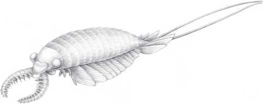 Иллюстрация к книге — Рассказ предка. Паломничество к истокам жизни [i_062.jpg]