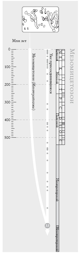 Иллюстрация к книге — Рассказ предка. Паломничество к истокам жизни [i_074.jpg]