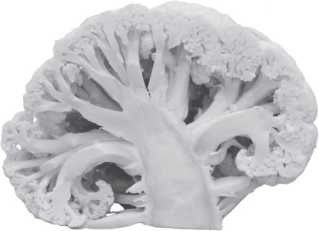 Иллюстрация к книге — Рассказ предка. Паломничество к истокам жизни [i_080.jpg]