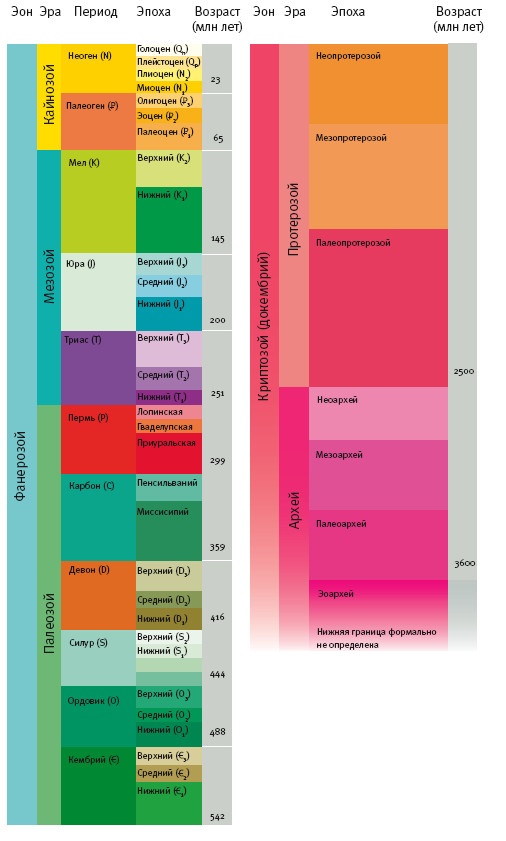 Иллюстрация к книге — Рассказ предка. Паломничество к истокам жизни [i_089.jpg]